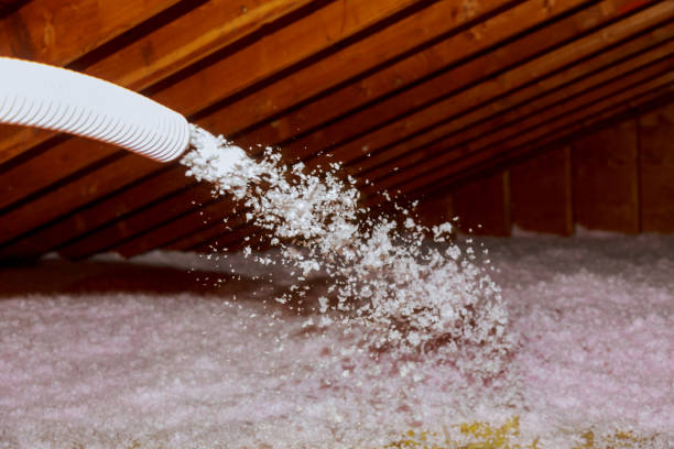Best Professional Insulation Contractor  in Mansfield, TX