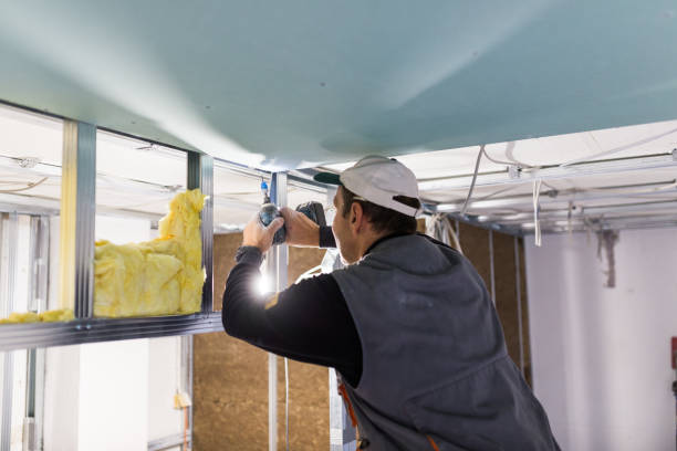 Best Fiberglass Insulation  in Mansfield, TX