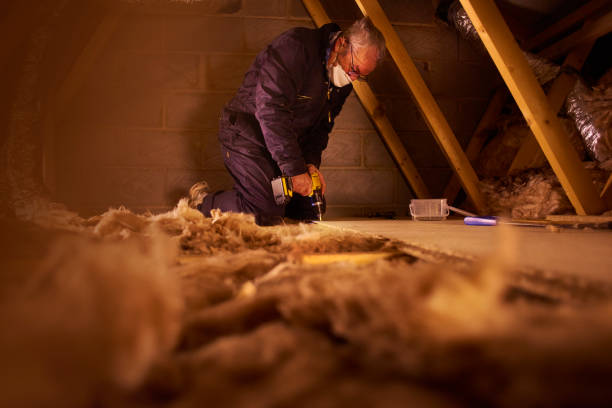 Best Insulation Contractors for Homes  in Mansfield, TX